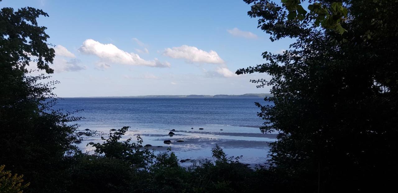 Gemuetliche Ferienunterkunft Direkt Am Meer Holnis 외부 사진
